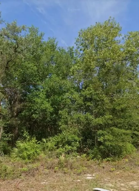 6480 N Matheson Dr, Citrus Springs, FL 34434