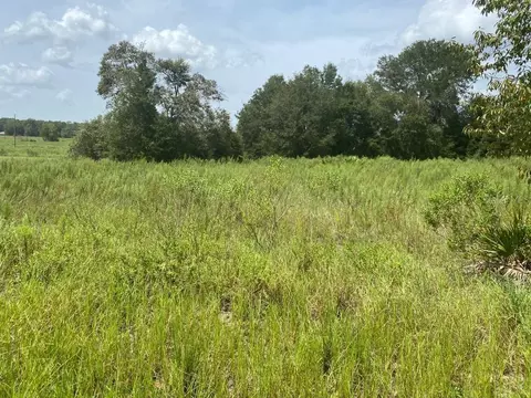 Tbd Sw 149 Ter, Ocala, FL 34481