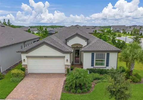 19190 Coastal Shore Ter, Land O Lakes, FL 34638