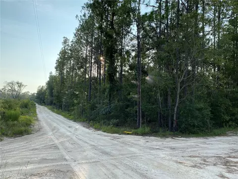 tbd NE 110th Ave, Bronson, FL 32621