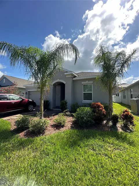 10079 Yellow Jasmine Dr, Orlando, FL 32832