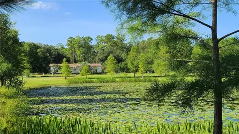 4740 Mildred Bass Rd, Saint Cloud, FL 34772
