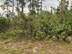 20581 NW 246th St, Okeechobee, FL 34972