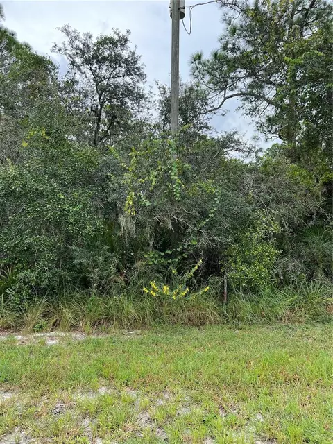 1209 Van Buren St, Lake Placid, FL 33852