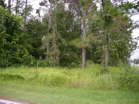 1034 Embrun Ct, Kissimmee, FL 34759