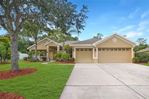 1008 Twisted Branch Ln, Saint Cloud, FL 34771