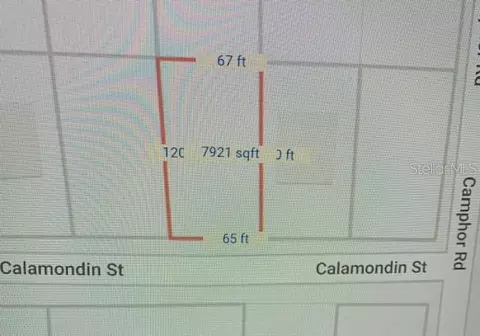 Calamondin Street, Lady Lake, FL 32159