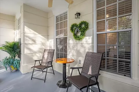 231 Goldenrain Dr #102, Celebration, FL 34747