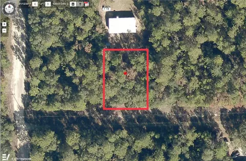 Ne 110 Ct 236th Pl, Fort Mc Coy, FL 32134