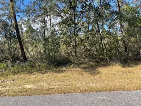 SW 165th Loop, Ocala, FL 34473