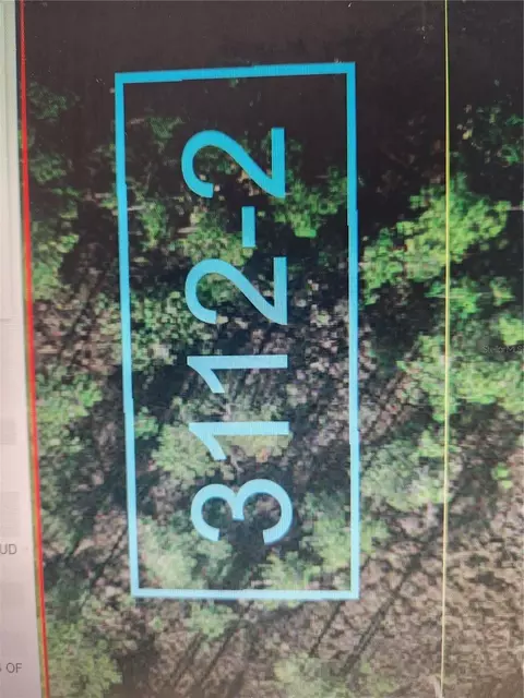 Holopaw Groves Road, Saint Cloud, FL 34771