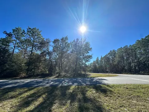1568 W Thumper Dr, Citrus Springs, FL 34434