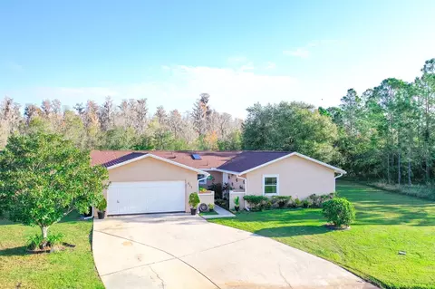 617 Bobcat Ln, Poinciana, FL 34759