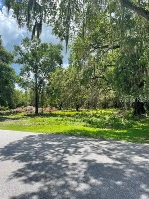 Cr 721, Webster, FL 33597