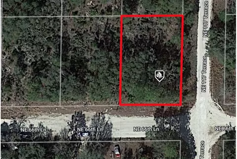 Ne 66th Lane, Williston, FL 32696