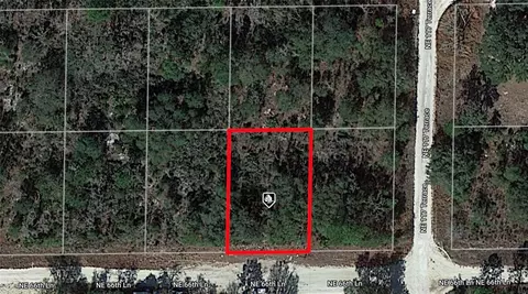 Ne 66th Lane, Williston, FL 32696