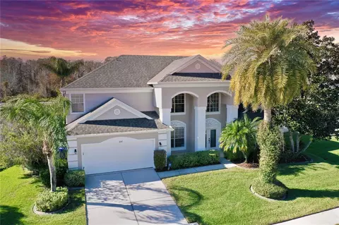3157 Hanging Moss Cir, Kissimmee, FL 34741