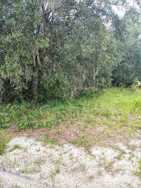 1263 Baltic Dr, Poinciana, FL 34759