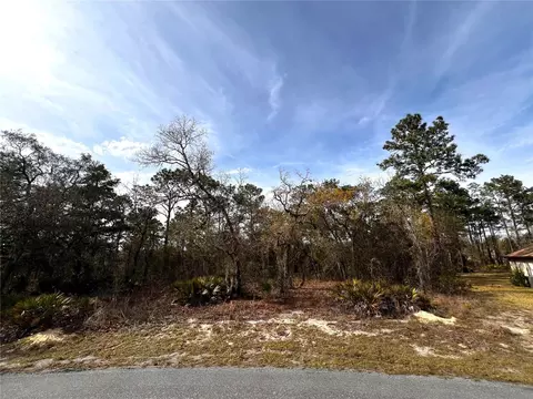 13 Primula Ct W, Homosassa, FL 34446