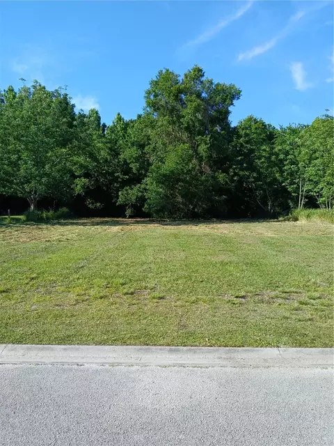 Ivy Mist Lane, Davenport, FL 33896