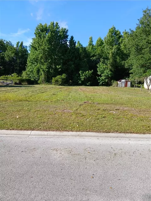 Ivy Mist Lane, Davenport, FL 33896