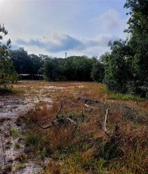 157 Deer Run Dr, Davenport, FL 33837