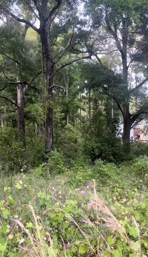 11587 NW 20th St, Ocala, FL 34482