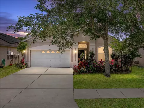 13003 Terrace Brook Pl, Temple Terrace, FL 33637