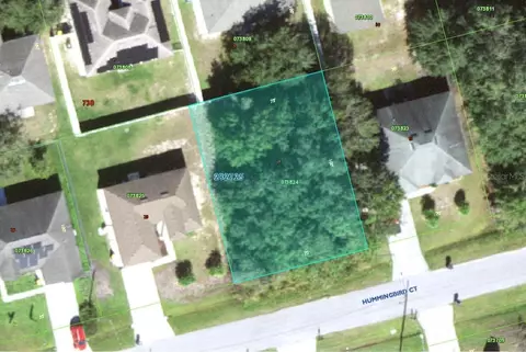 Hummingbird Court, Kissimmee, FL 34759