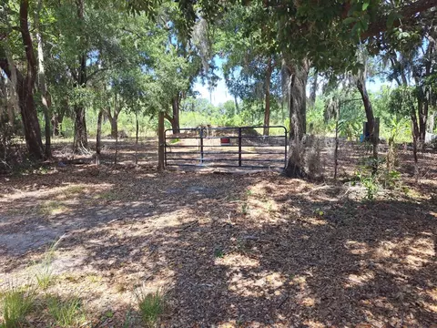 Carlisle Street, Haines City, FL 33844