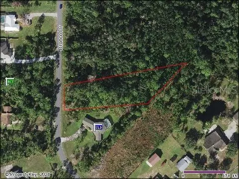 Bronco Drive, Saint Cloud, FL 34772