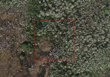 Holopaw Groves Road, Saint Cloud, FL 34773