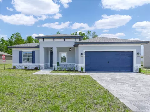251 Fig Ct, Kissimmee, FL 34759