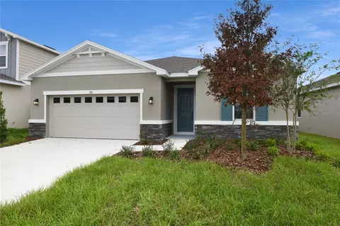 154 Bull Frog Ln, Umatilla, FL 32784