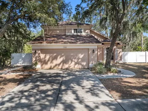 2333 Needham Dr, Valrico, FL 33596