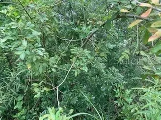 Robin Trail, Kissimmee, FL 34747