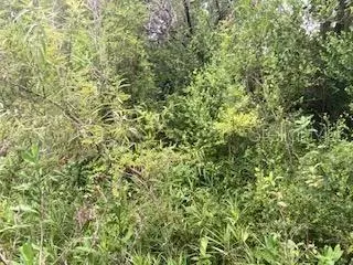 Sweetwater Trail, Kissimmee, FL 34747