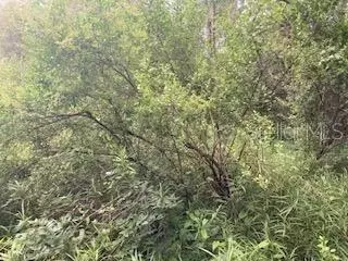 Sweetwater Trail, Kissimmee, FL 34747