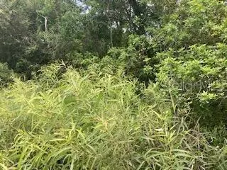 S Goodman Road, Kissimmee, FL 34747