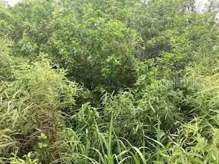 S Goodman Road, Kissimmee, FL 34747