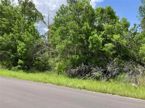 Forehand Road, Davenport, FL 33896