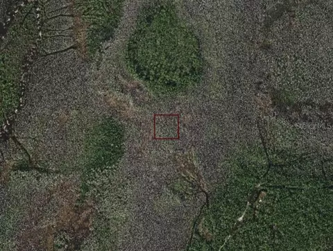Holopaw Groves Road, Saint Cloud, FL 34773