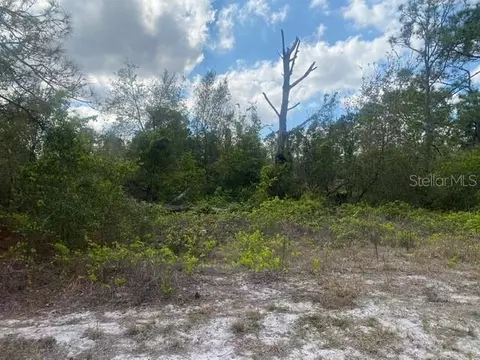 362 Concert Dr, Lake Placid, FL 33852