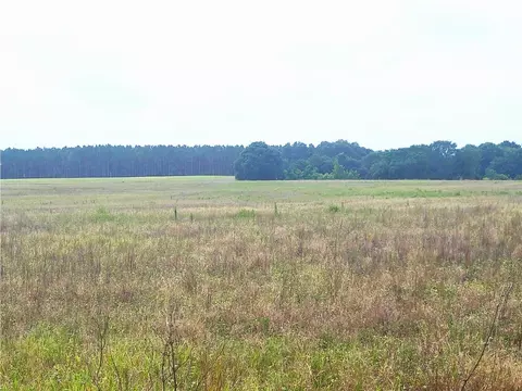 00 Sr-33, Groveland, FL 34736