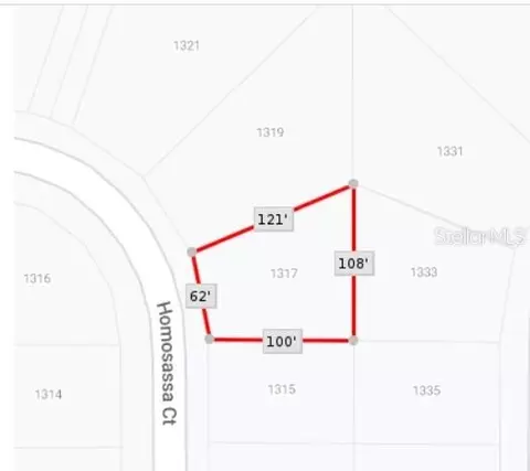 1317 Homosassa Ct, Kissimmee, FL 34759