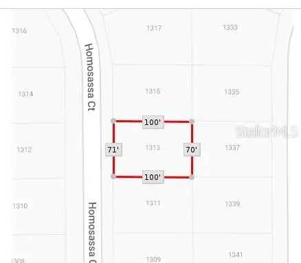1313 Homosassa Ct, Kissimmee, FL 34759