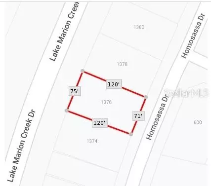 1376 Homosassa Dr, Kissimmee, FL 34759