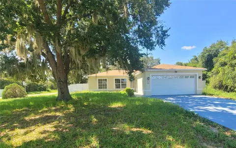 1234 Alafia Way, Kissimmee, FL 34759