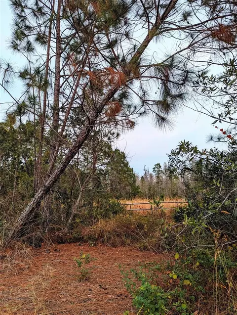 Sweet Hill Rd, Polk City, FL 33868