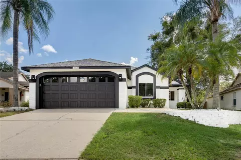 1964 Erin Brooke Dr, Valrico, FL 33594